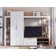 Гостиная Невада Дуб Крафт Золотой/Сноу